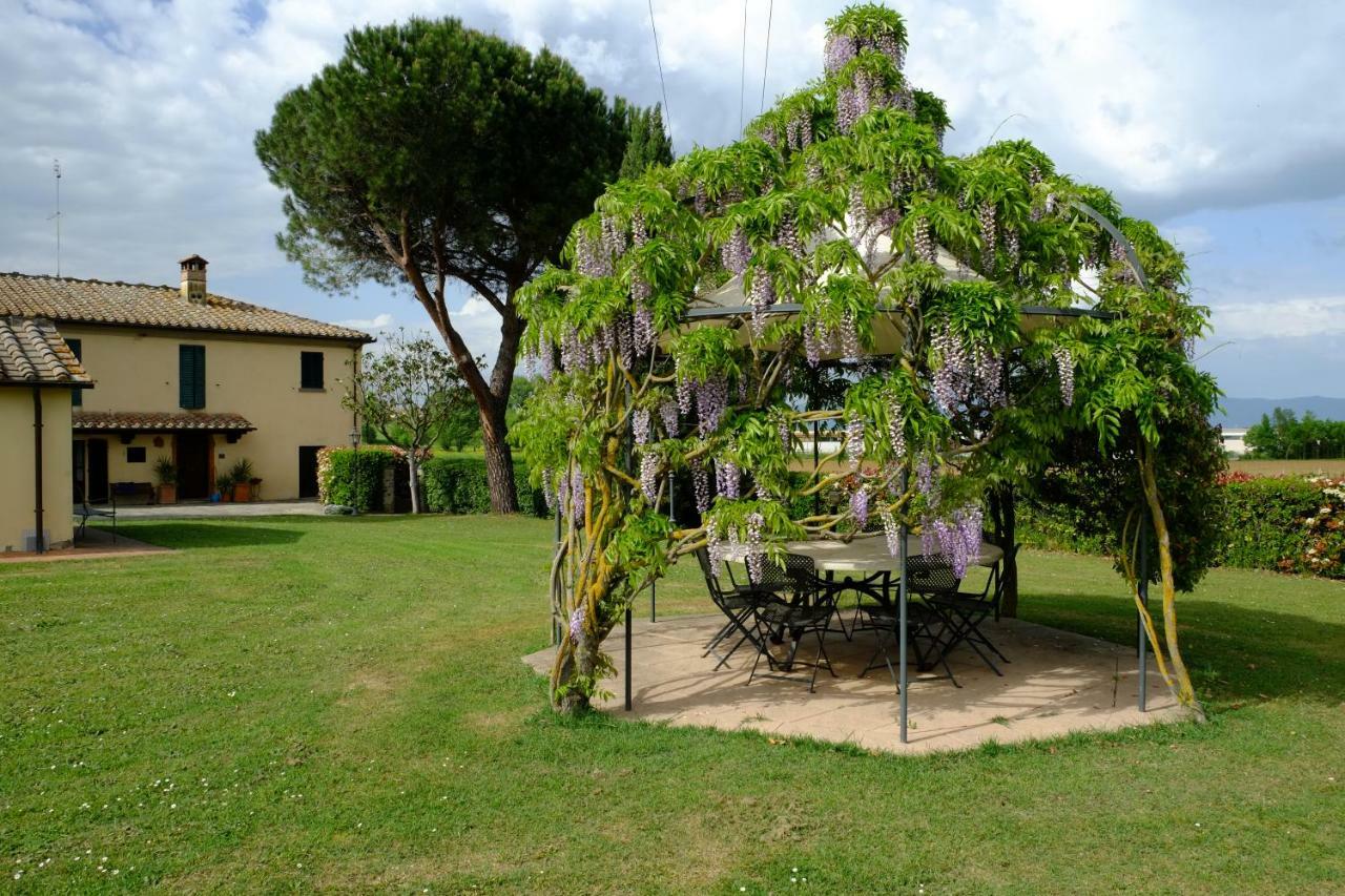 Canto De' Bacci Foiano Della Chiana Exterior foto